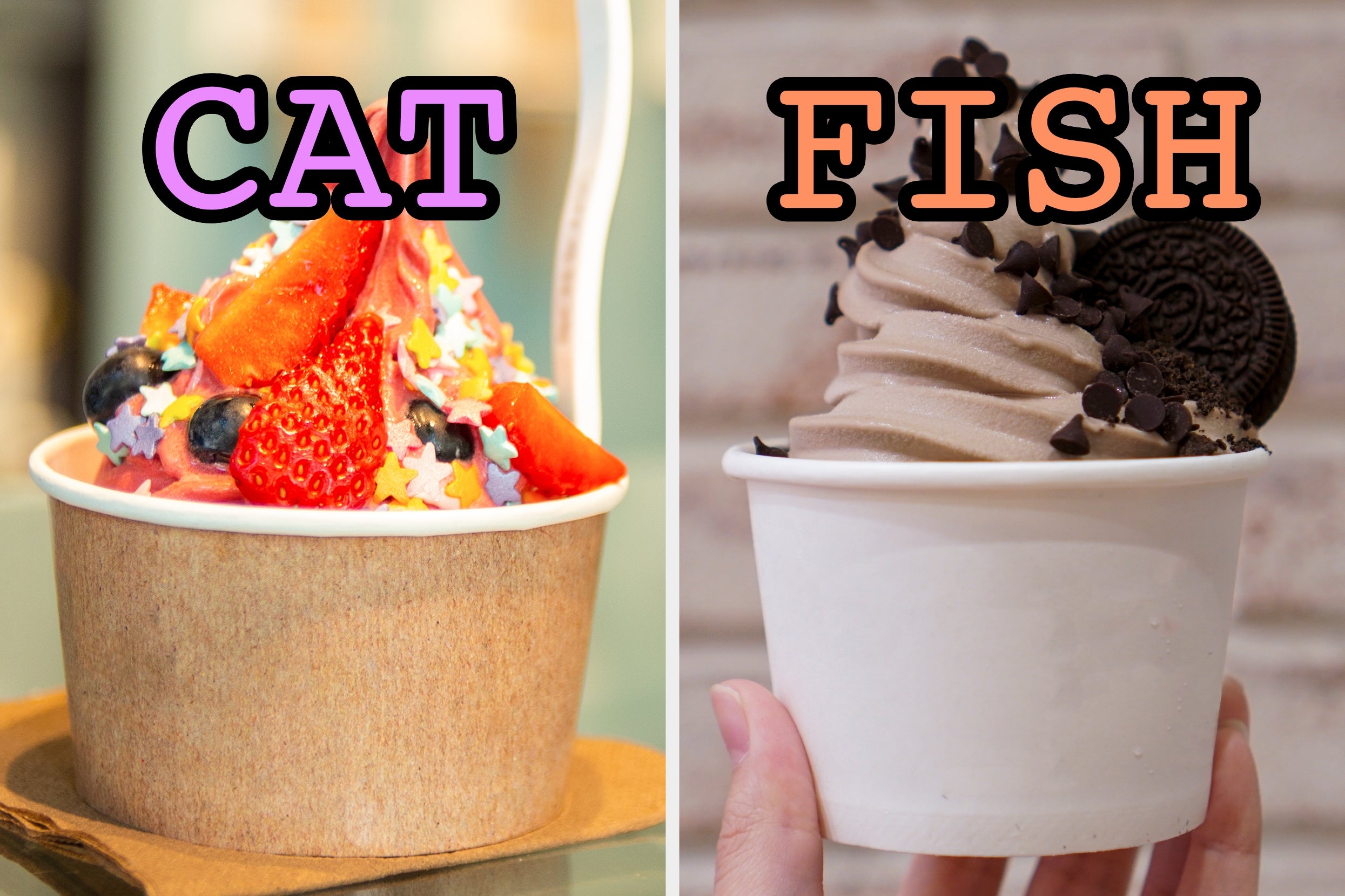On the left, a cup of berry froyo topped with berries and sprinkles labeled cat, and on the right, a cup of chocolate froyo topped with an Oreo and chocolate chips labeled fish