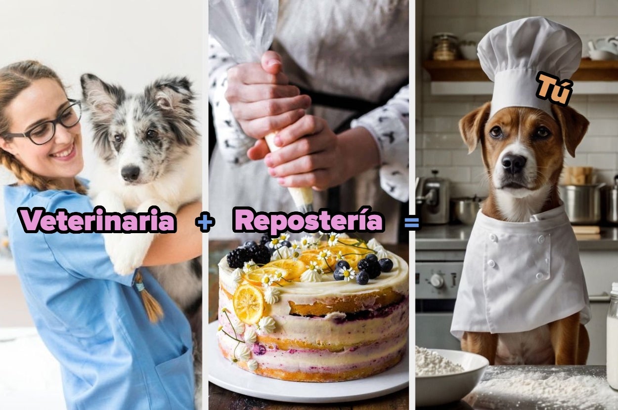Imagen divertida de una veterinaria con un perro, un pastel siendo decorado y un perro vestido de chef; ilustra: "Veterinaria + Repostería = Tú"