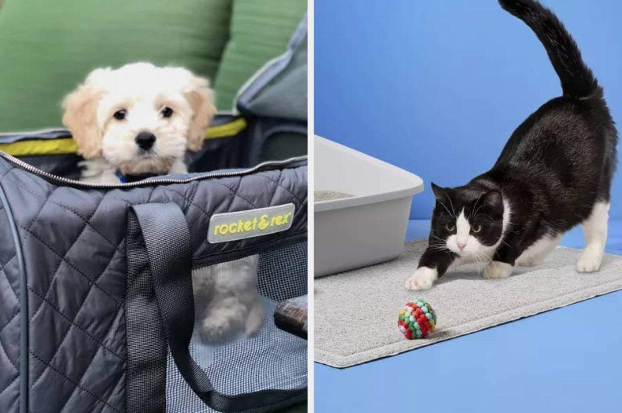 A puppy in a carrier and a cat playing with a ball beside a litter box, showcasing pet accessories for convenience and play