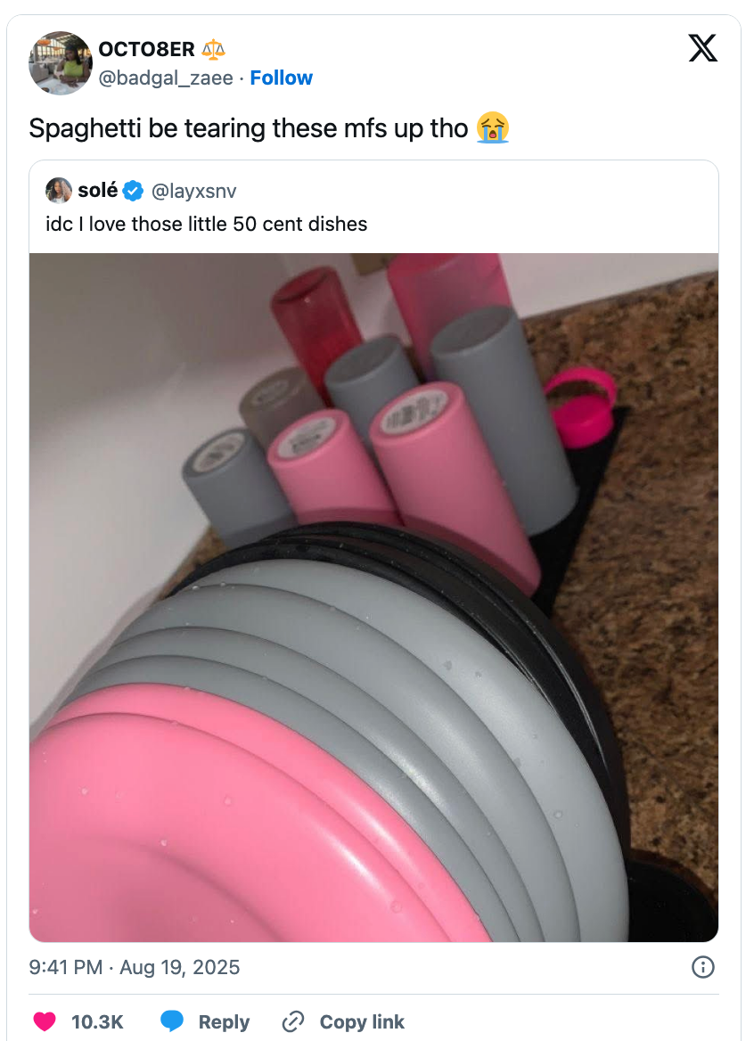 Stacked plastic dishware, including plates and cups, on a kitchen countertop display wear and tear. Social media post references affordable dishes