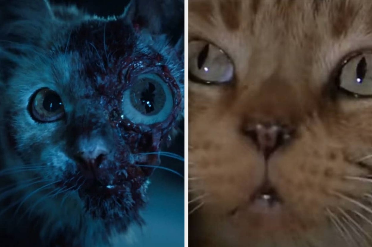 "Alien: Earth" Just Dropped, So Here's All The Easter Eggs I Noticed On The First Watch