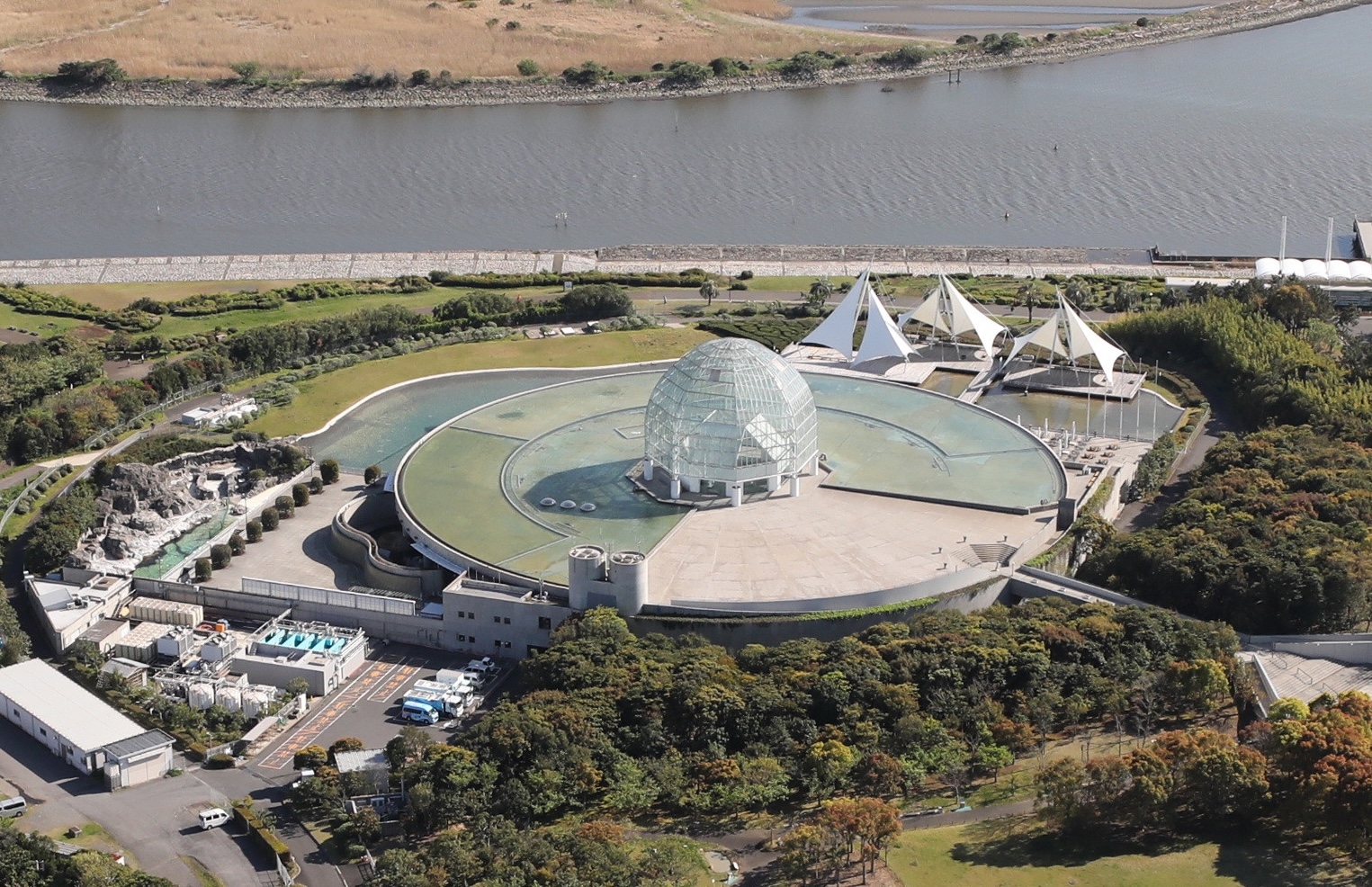 葛西臨海水族園(時事)