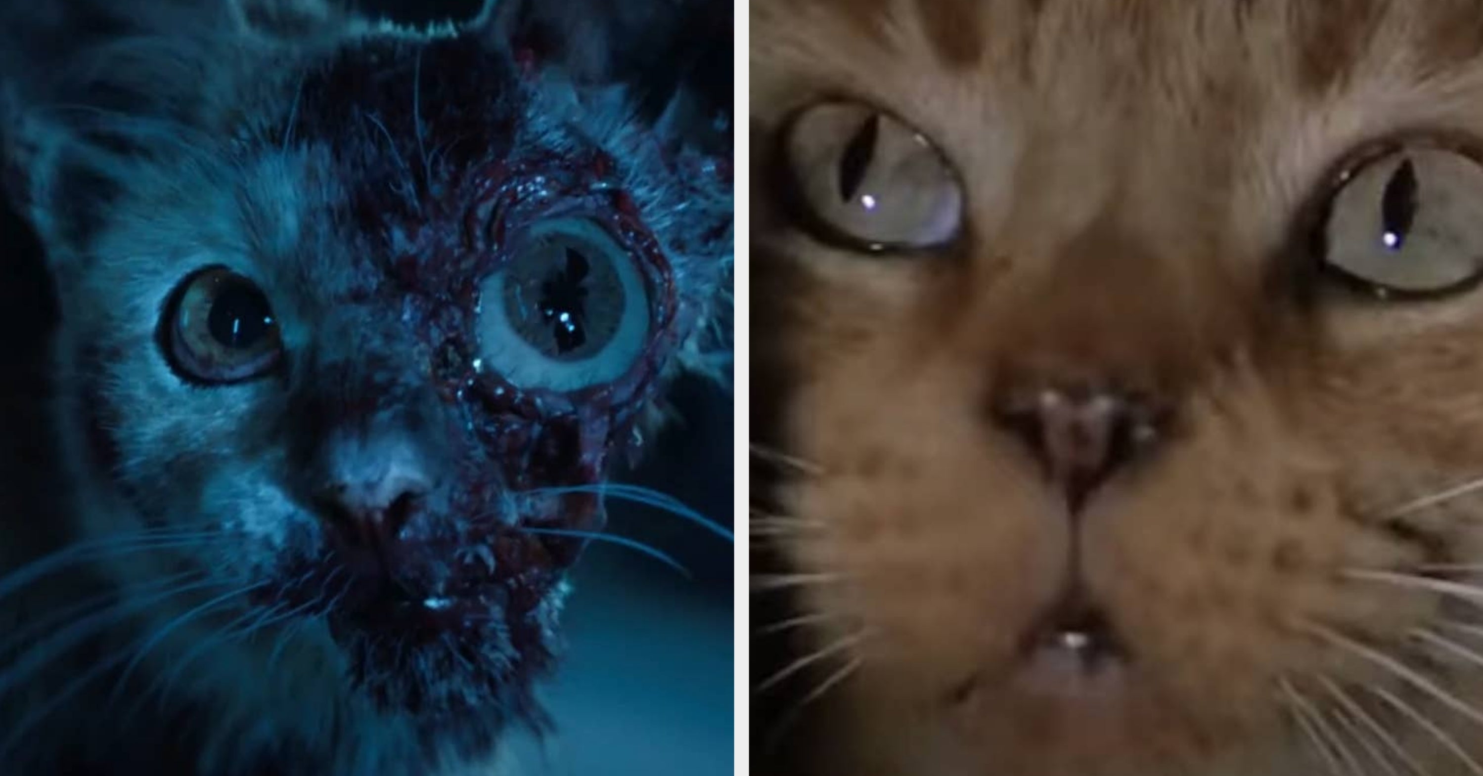 "Alien: Earth" Just Dropped, So Here's All The Easter Eggs I Noticed On The First Watch