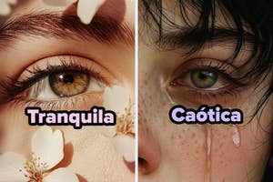 On the left, a calm eye with flowers. On the right, a chaotic eye with tears and a wet face. Text: "Mirada tranquila" and "Mirada caótica."