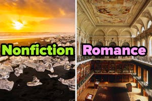 Left side: Beach with ice shards labeled "Nonfiction." Right side: Ornate library labeled "Romance."