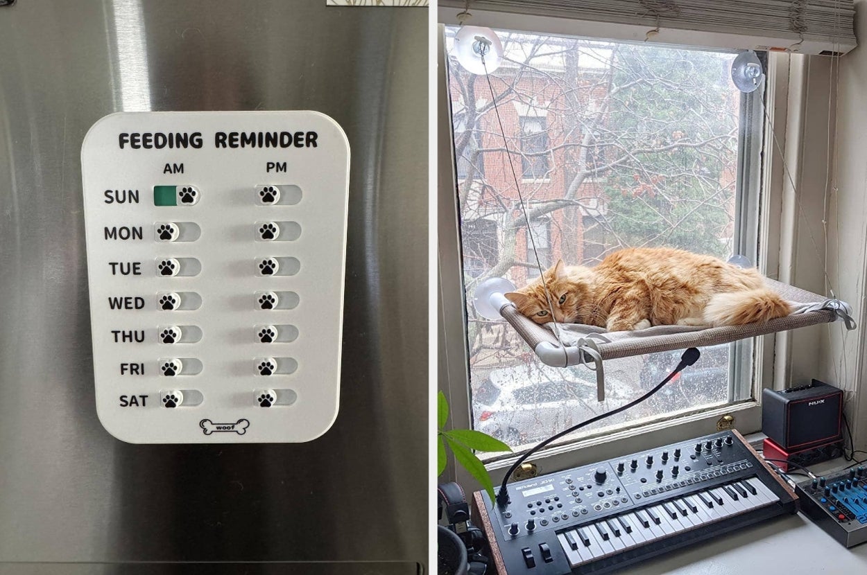 Left: Pet feeding reminder chart on a fridge. Right: Cat lounging on a window hammock above a music keyboard