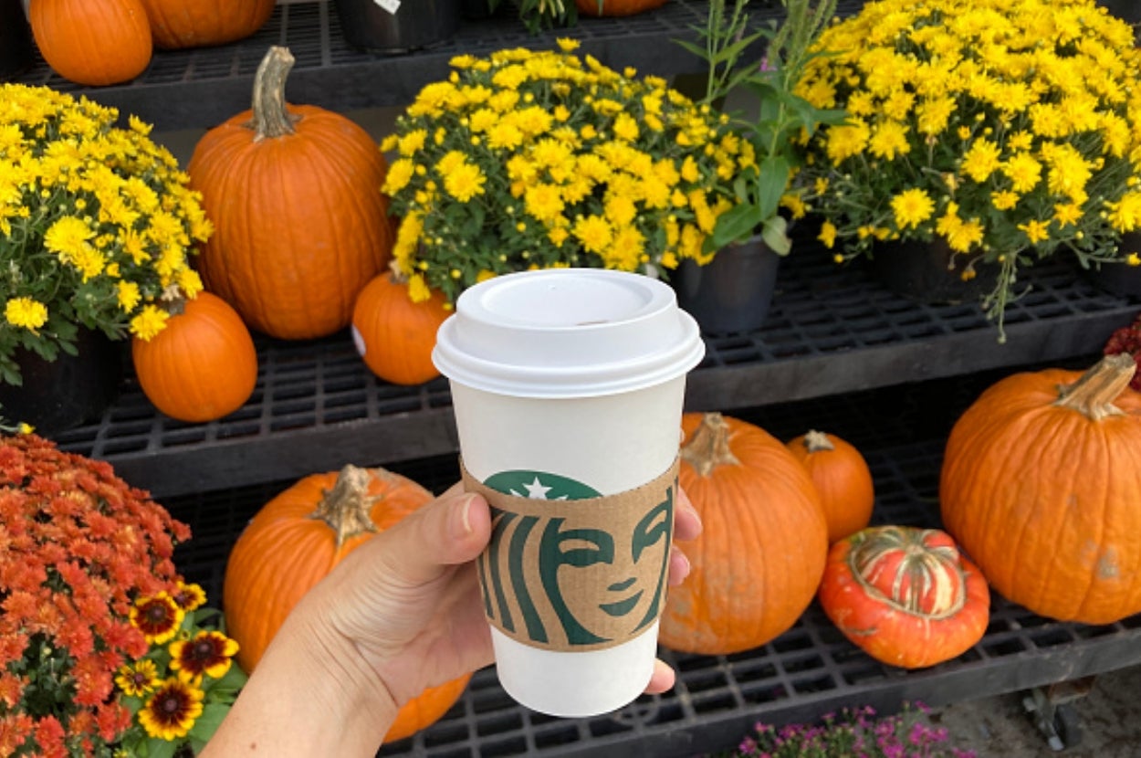 A hand holds a Starbucks cup in front of a display of pumpkins and potted yellow flowers, suggesting an autumn or fall theme
