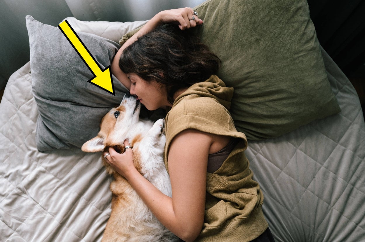 Person cuddling with a corgi on a bed, showing affection and intimacy