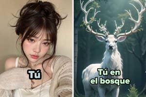 A split image comparing a person with heavy makeup and styled hair on the left, and a majestic stag with antlers in a forest on the right