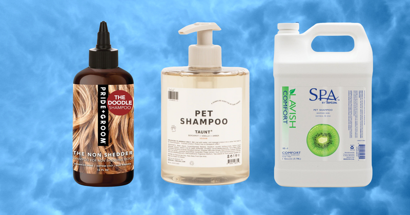 Yes, Your Dogs (And Cats!) Need A Bath. Here Are The Shampoos Groomers Recommend.
