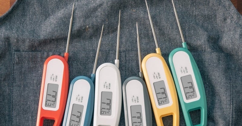 These Are The Best Meat Thermometers For Grilling, According To Chefs