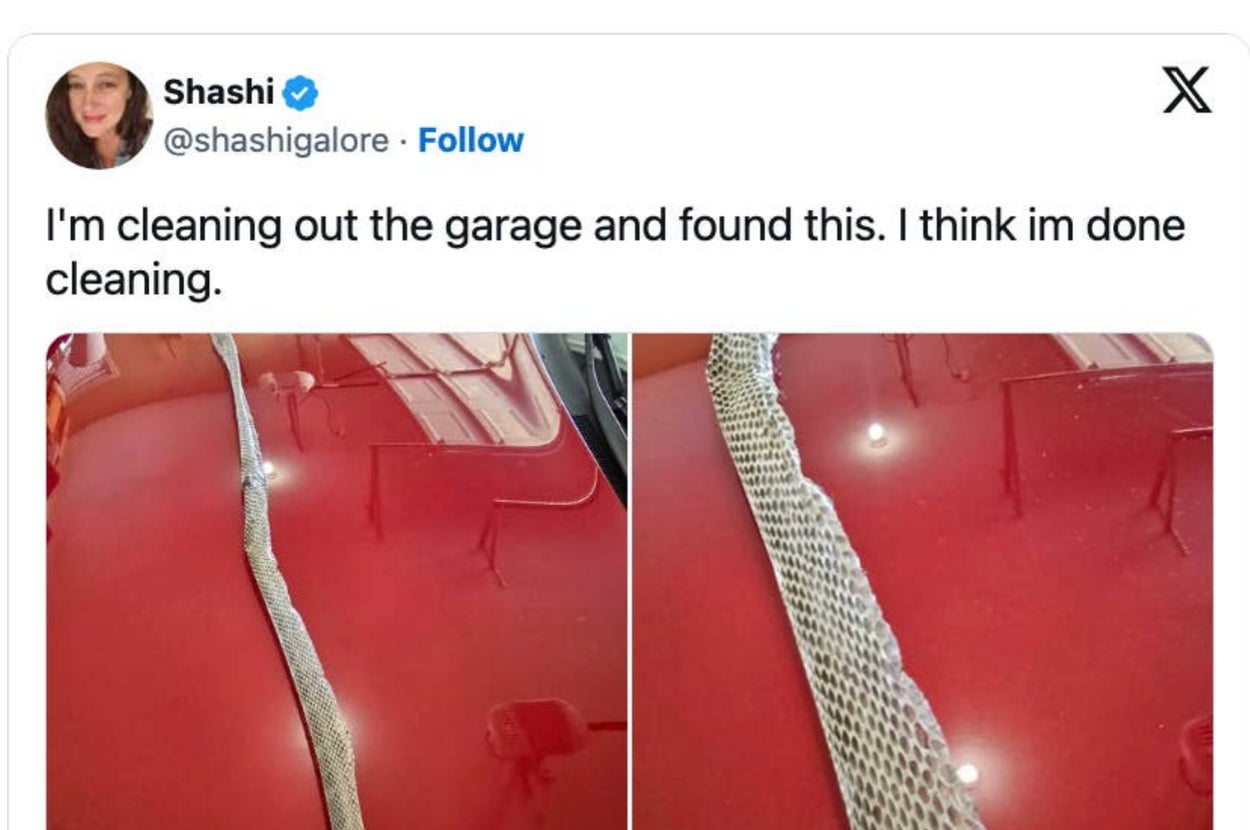 Split image of a snake skin on a garage floor with a humorous tweet about cleaning