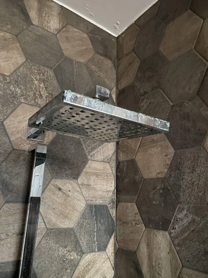 Reddit station astir replacing a rainfall showerhead, showing a tiled ablution with a modern showerhead mounted above