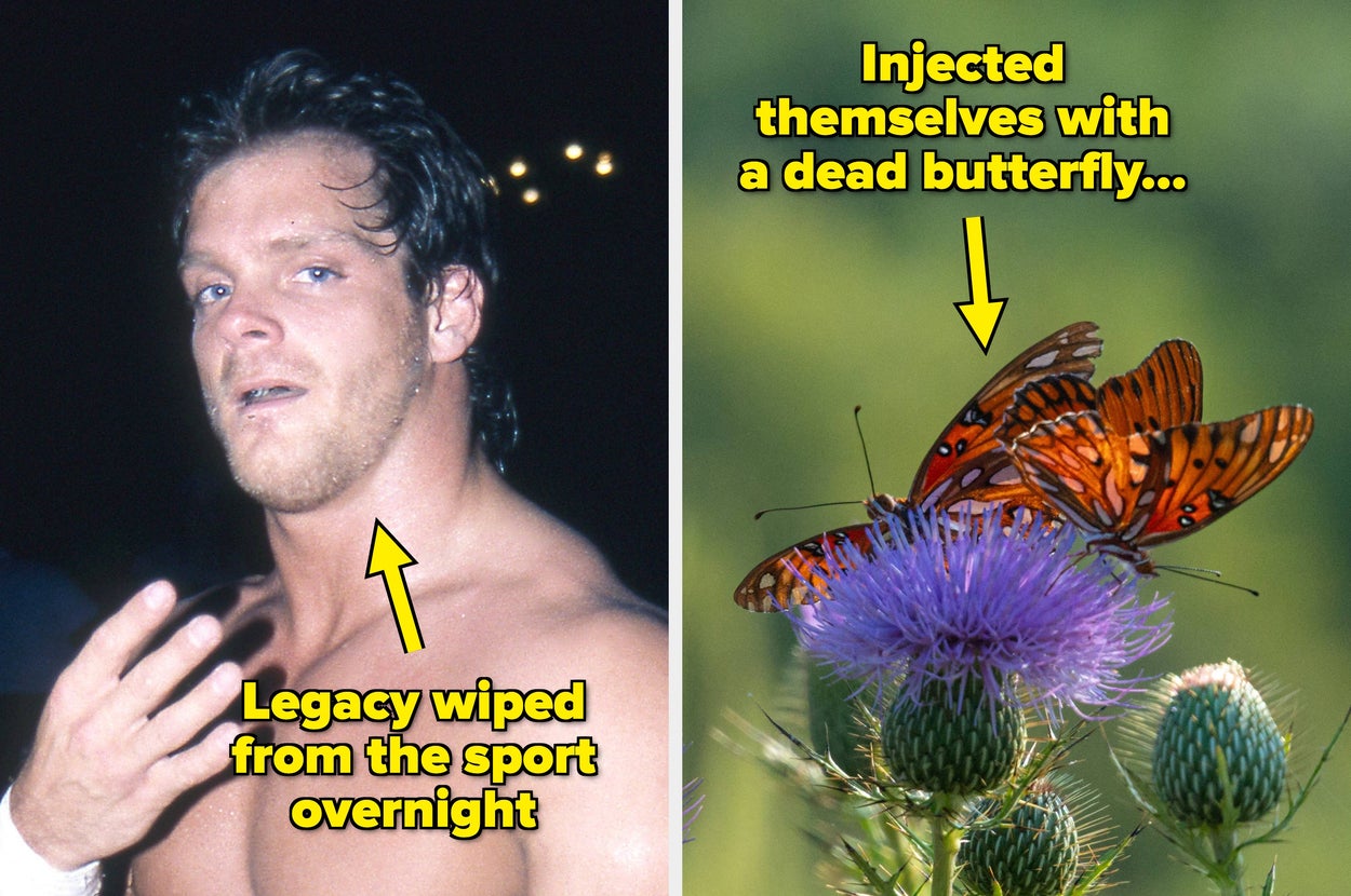 Split image: Left shows a person with wrestling attire and text about a legacy; right shows butterflies on a thistle with text about being injected