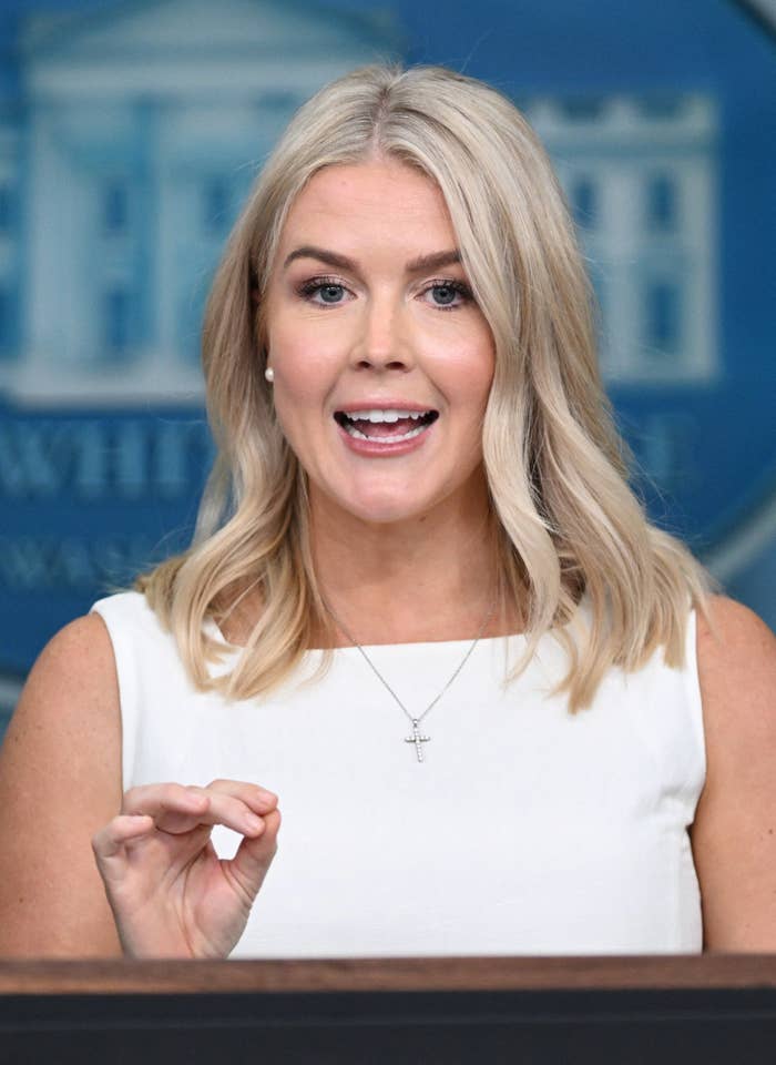 Person with shoulder-length hairsbreadth speaks astatine a podium, gesturing with a hand. They're wearing a achromatic apical and a necklace with a transverse pendant
