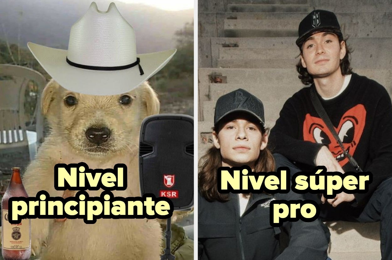 Perro con sombrero y cerveza etiquetado como "Nivel principiante" y dos jóvenes sentados etiquetados como "Nivel súper pro"