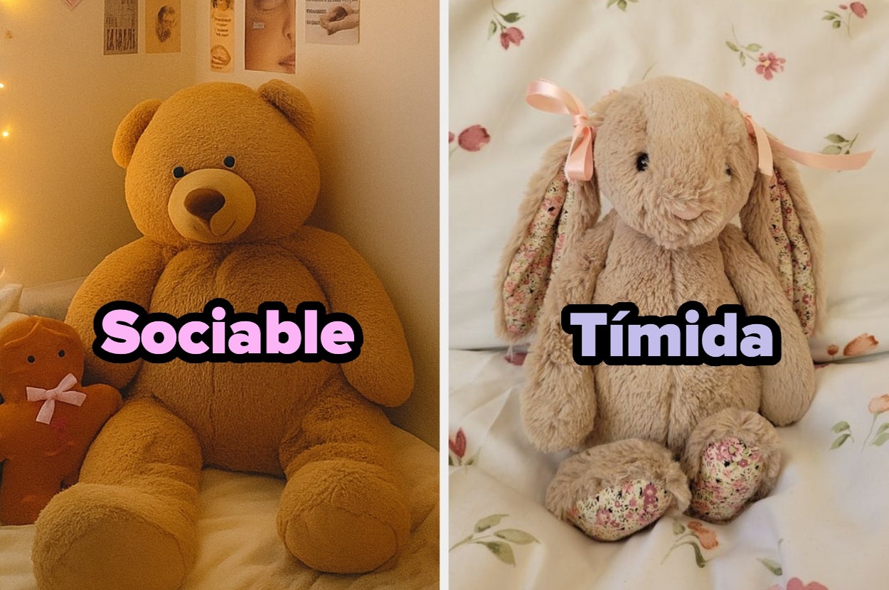 Osito de peluche etiquetado "Sociable" a la izquierda; conejo de peluche etiquetado "Tímida" a la derecha