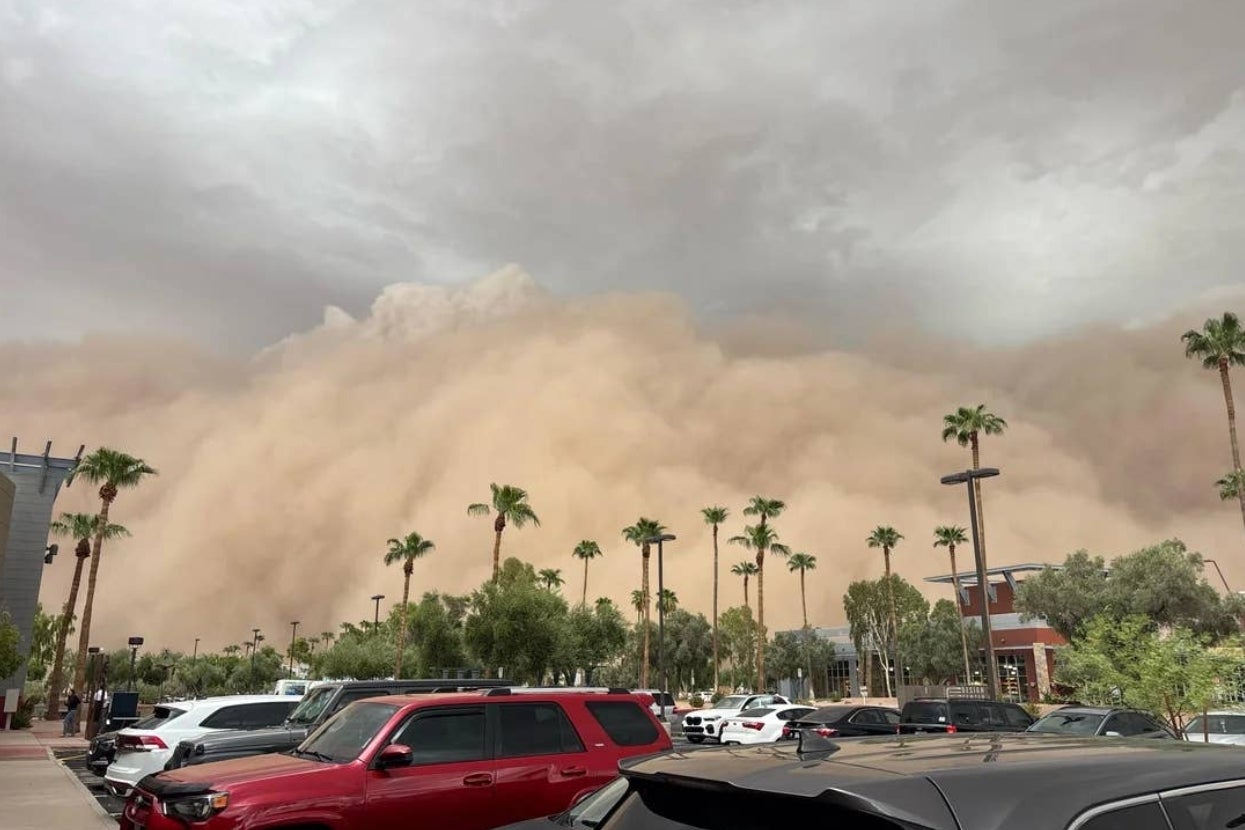 Massive sandstorm approaches a parking lot with palm trees, cars, and distant buildings under a cloudy sky