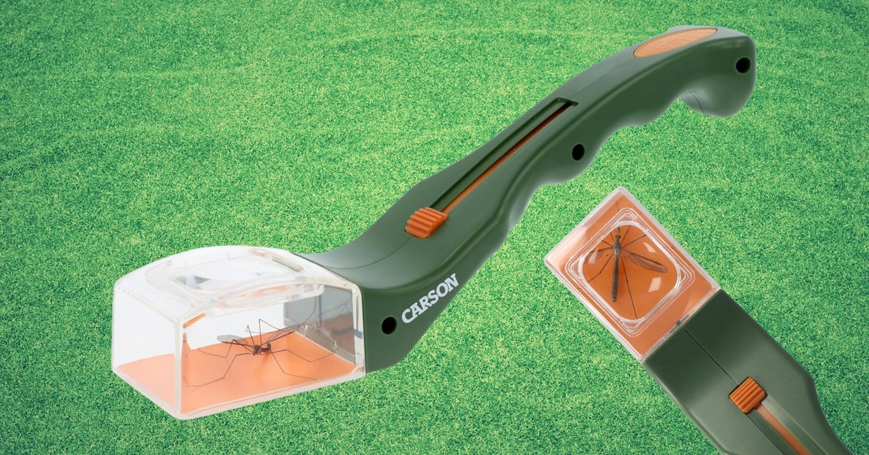 This Kid-Friendly Gadget Lets You Humanely Handle Insects In Your Home