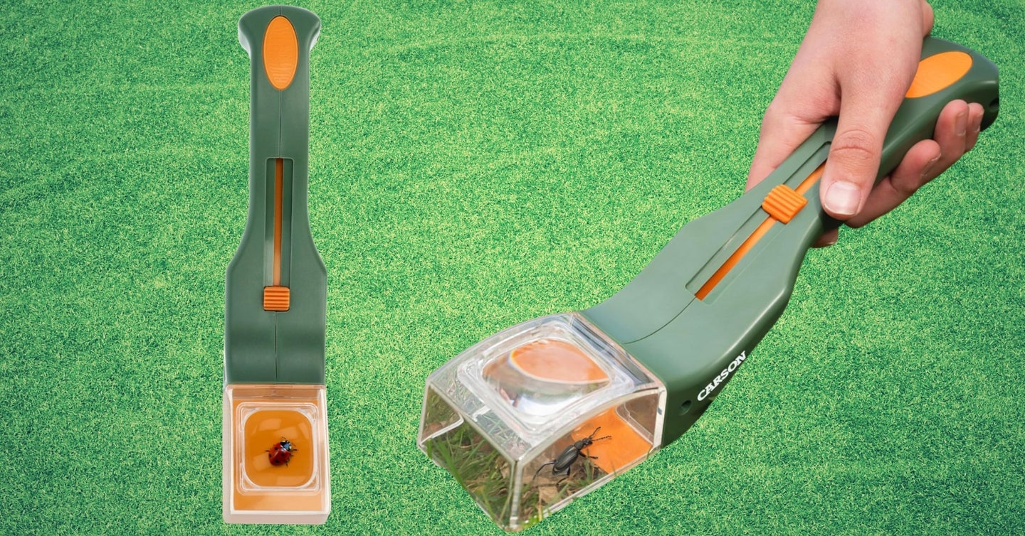 This Kid-Friendly Gadget Lets You Humanely Handle Insects In Your Home