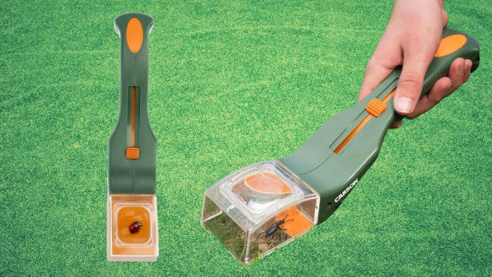 Insects Control Tools This Gadget Humanely Handles Insects In Your Home