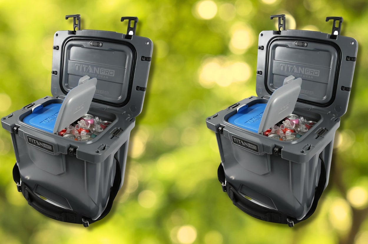 Meet The Splurgeworthy Cooler That I Used On A 12-Hour Road Trip