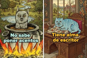 Dividido en dos partes, una imagen muestra un gato en una olla con texto humorístico; la otra, un gato escribiendo en un escritorio.