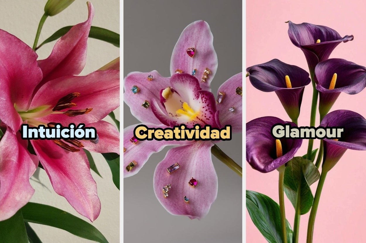 Three panels show flowers: "Intuición" with lilies, "Creatividad" with a jeweled lily, and "Glamour" with calla lilies