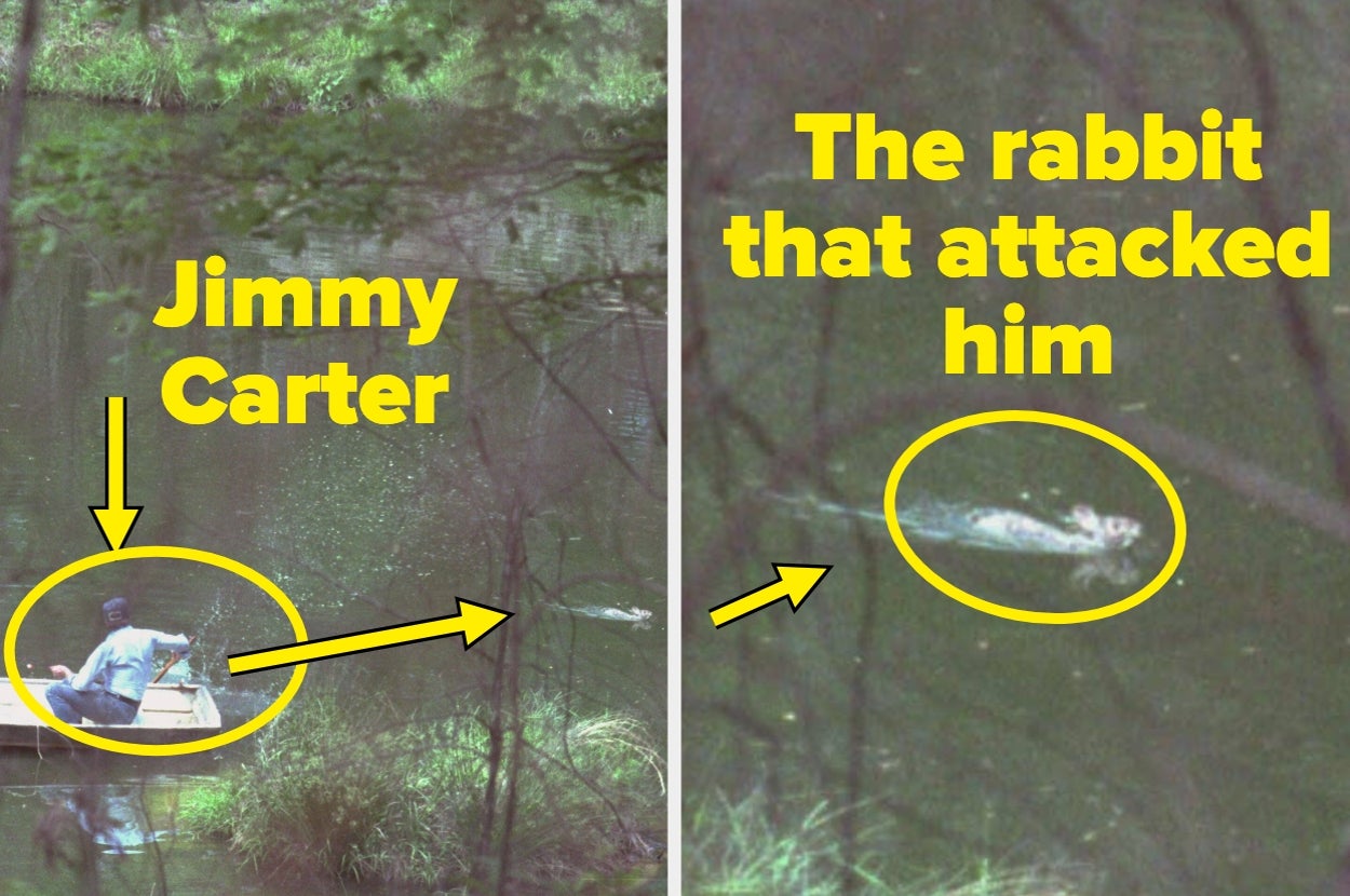 Two images: Left shows Jimmy Carter on a boat; right shows a rabbit swimming nearby with text highlighting both