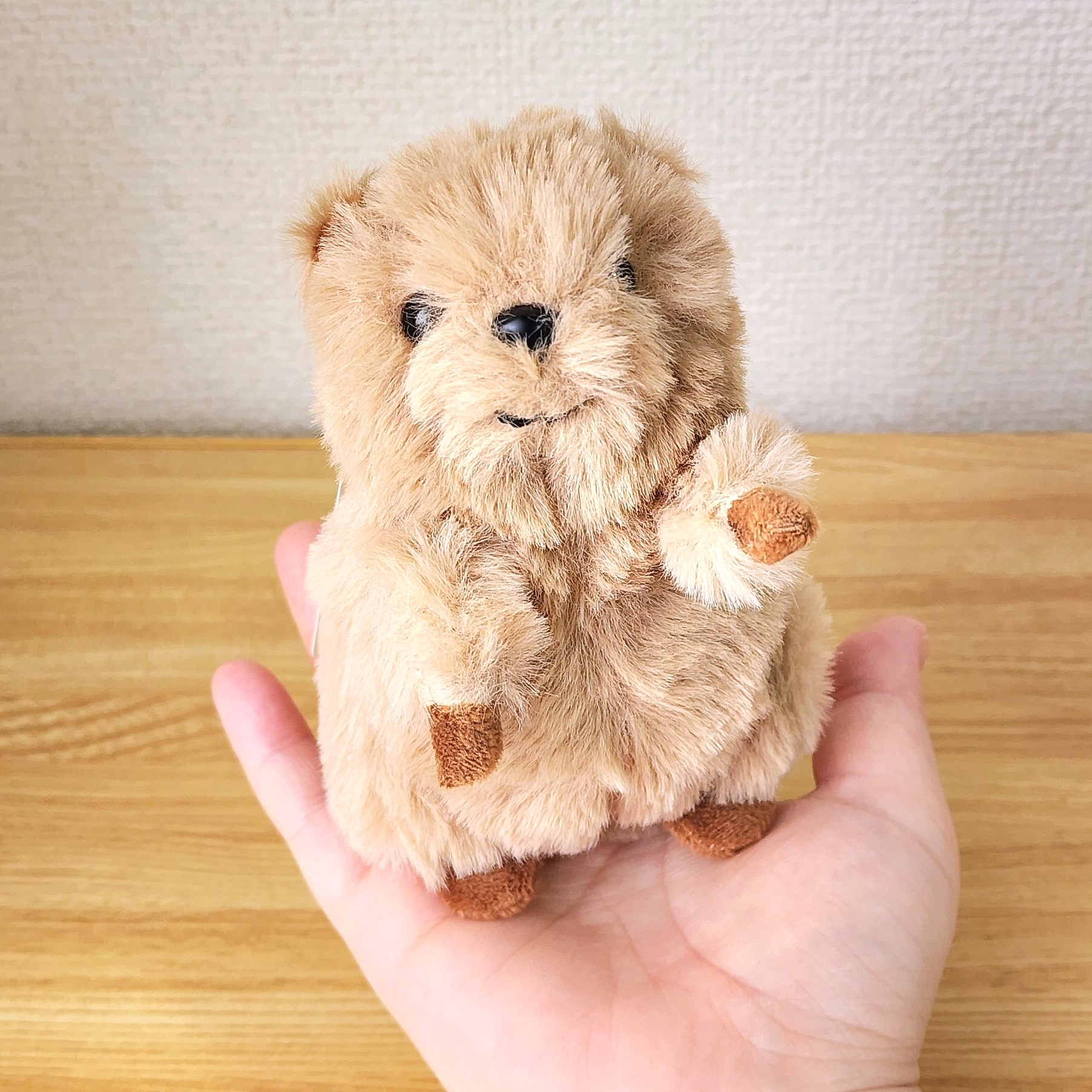 ニトリ「【デコホーム商品】チャーム クオッカ」