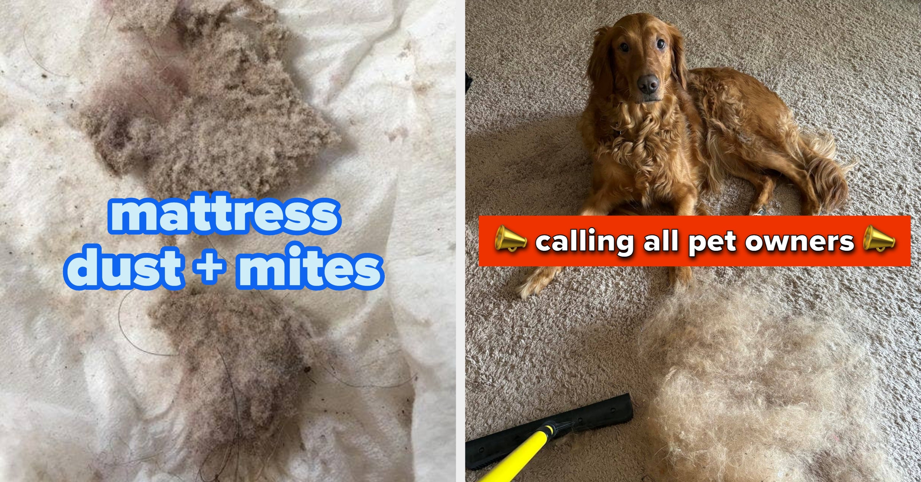 31 Cleaning Products With Such Good Results, You Won’t Even Be Mad At The Time You Spent Tidying Up