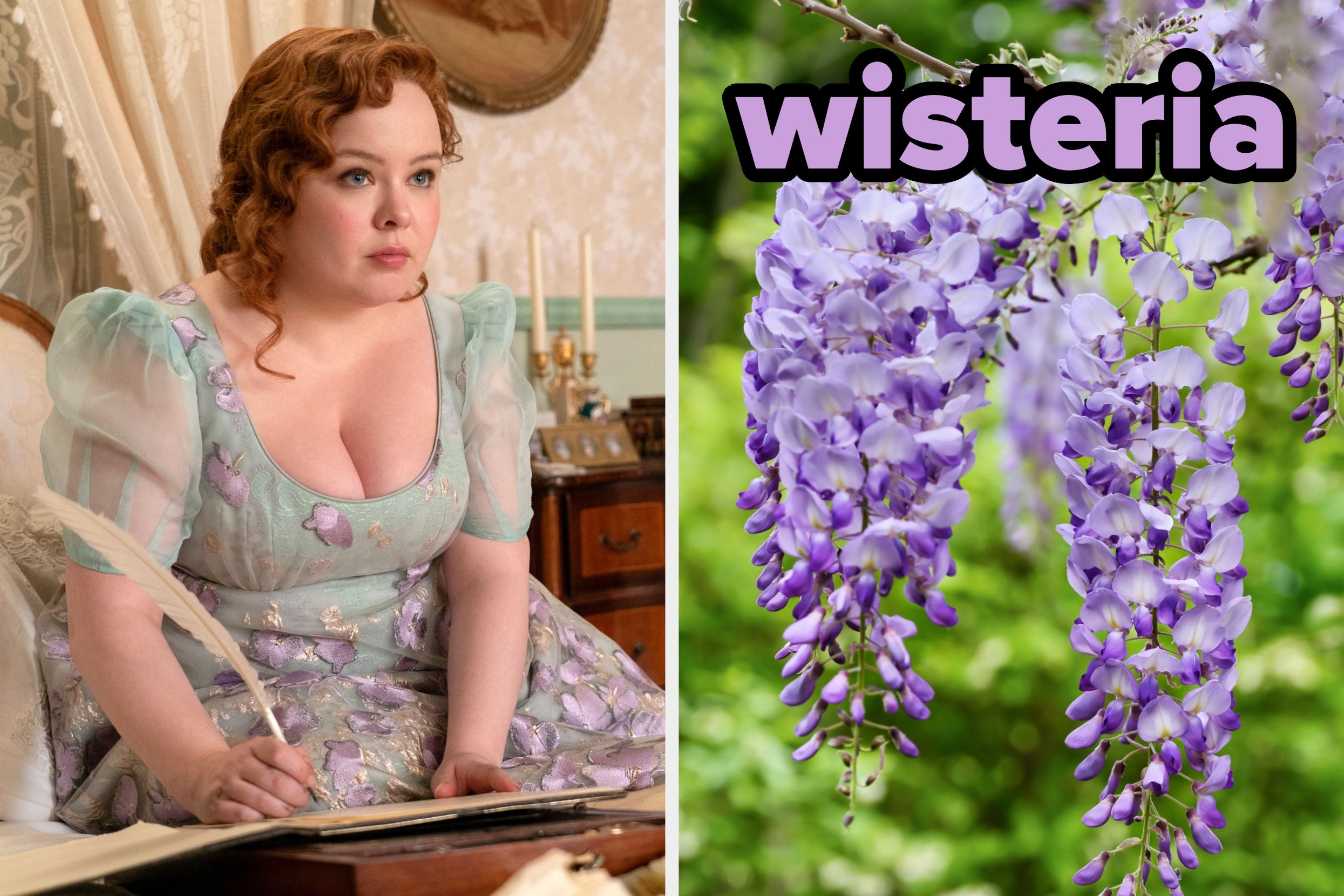 On the left, Penelope from Bridgerton writing with a quill, and on the right, wisteria flowers