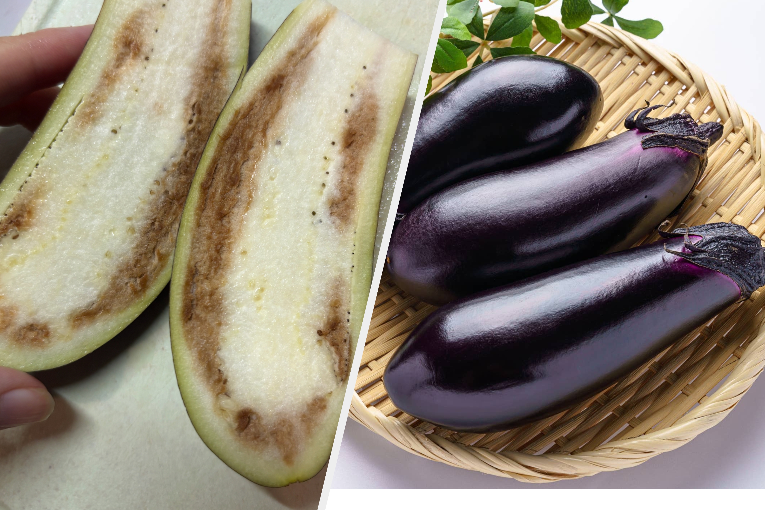 なすびページ♡ bDckfICaa.jpg?fill=1200:675