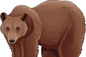 クマのイメージイラスト
