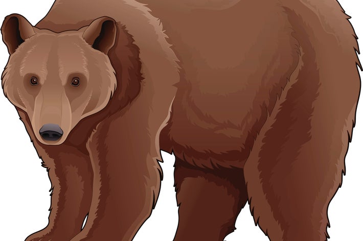 クマのイメージイラスト