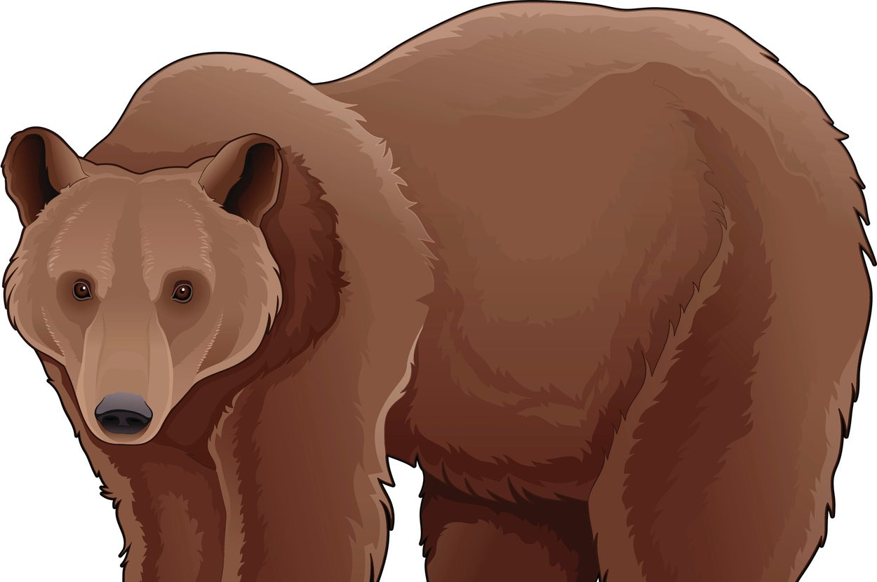 クマのイメージイラスト