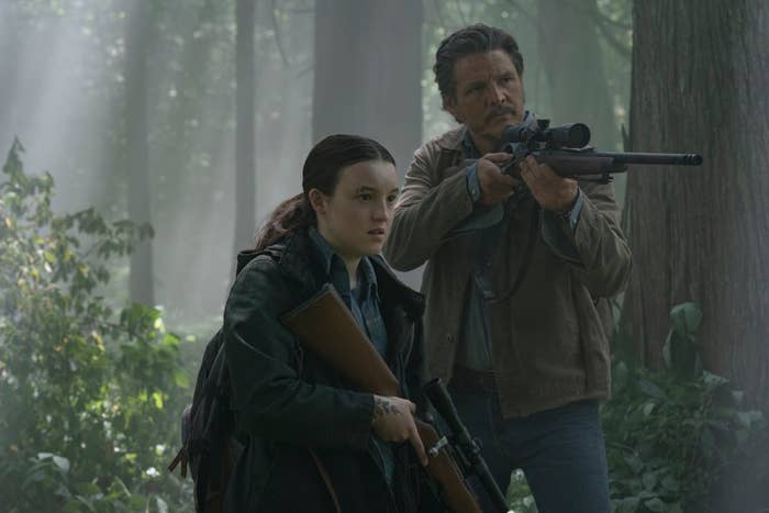 Two radical successful a wood clasp rifles, appearing alert and focused, suggesting they are prepared for imaginable danger