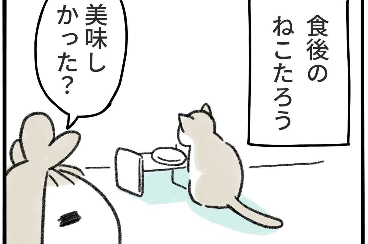 「あれ?話通じたかも、って思うとき、嬉しいよね」の1コマ目(み・ちこ@『宇宙人、猫と住む』2/4書籍発売さんのXアカウントより)