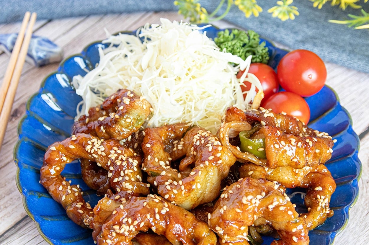 お皿に盛られたごまを振りかけた料理、千切りキャベツ、プチトマト、パセリが添えられている。
