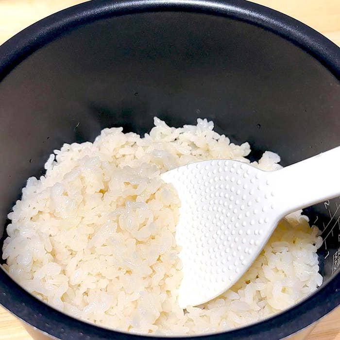 炊飯器に入った炊きたてのご飯と白いしゃもじが映っています。