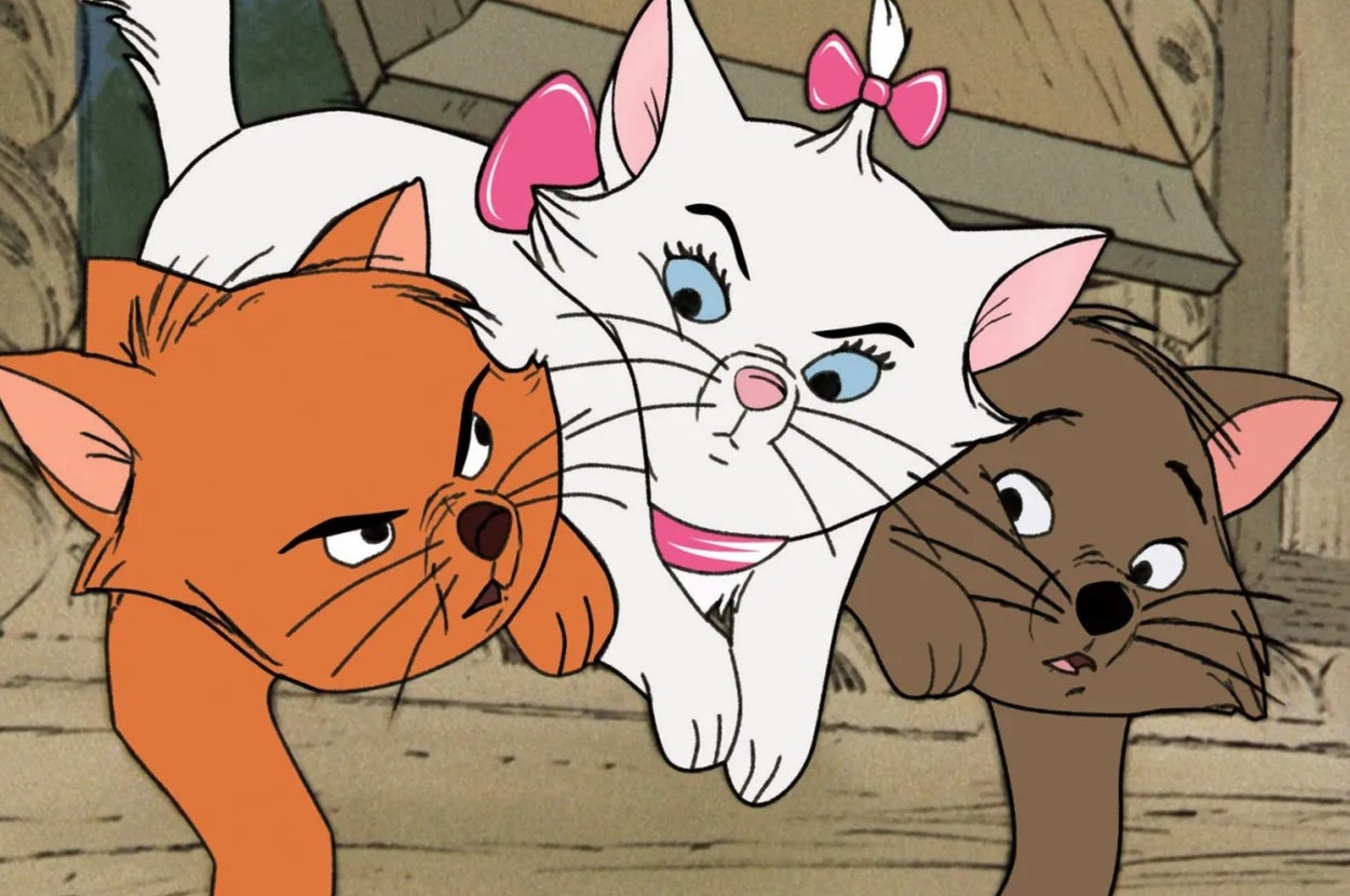 Three animated kittens, one white with a bow, one orange, and one brown, are playfully interacting in a cartoon scene