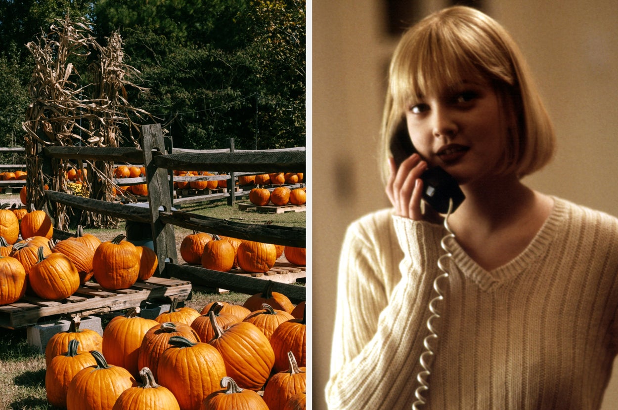 Plan A Day Of Fall Activities And I'll Give You A Role In A Horror Movie