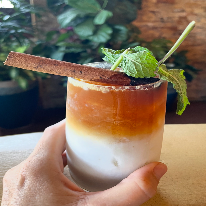 Iced coffee in a glass with milk, topped with a cinnamon stick and mint leaves, held by a hand with plants in the background