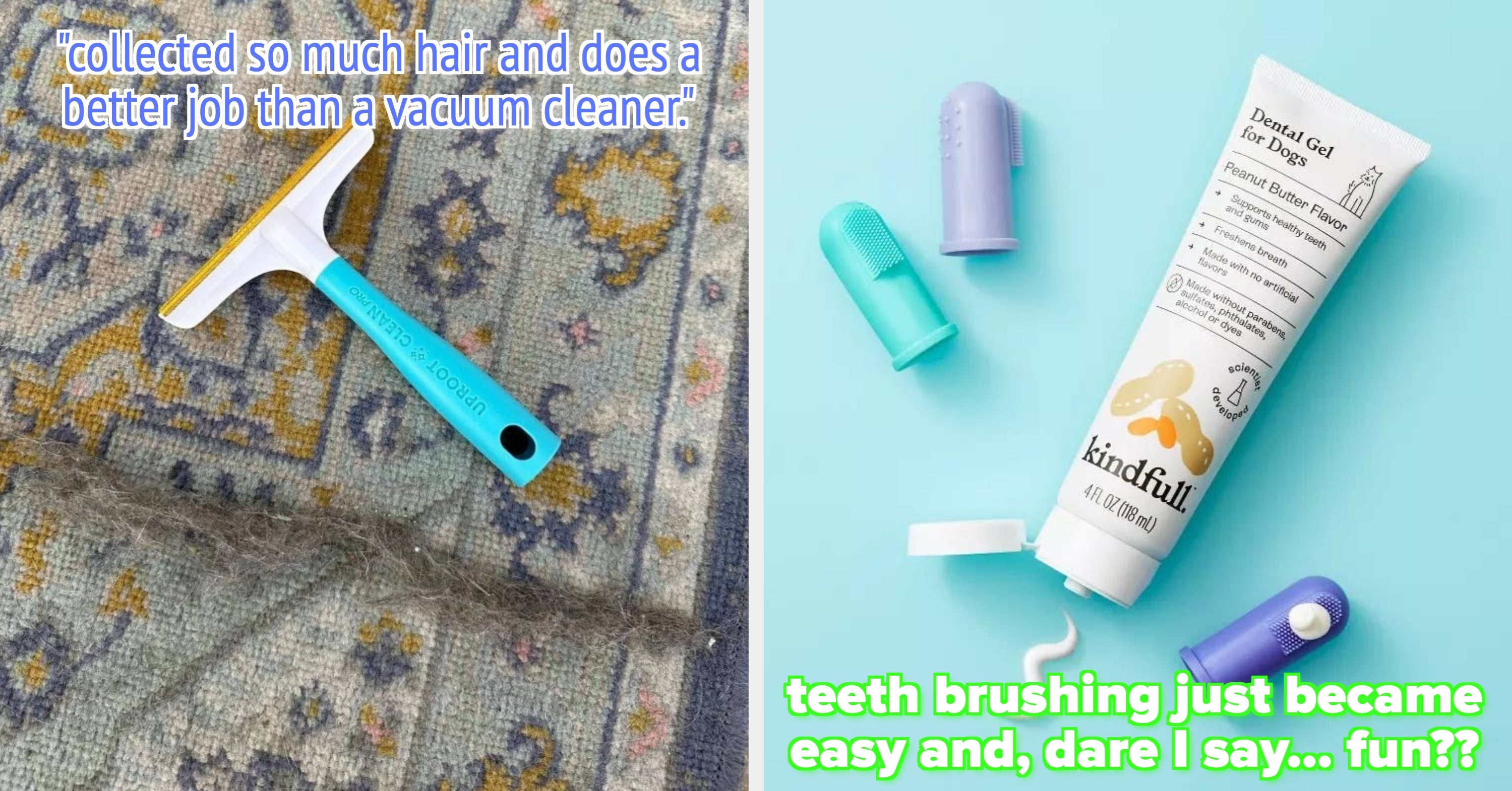 20 Useful Target Pet Products That Don't Cost A Lot