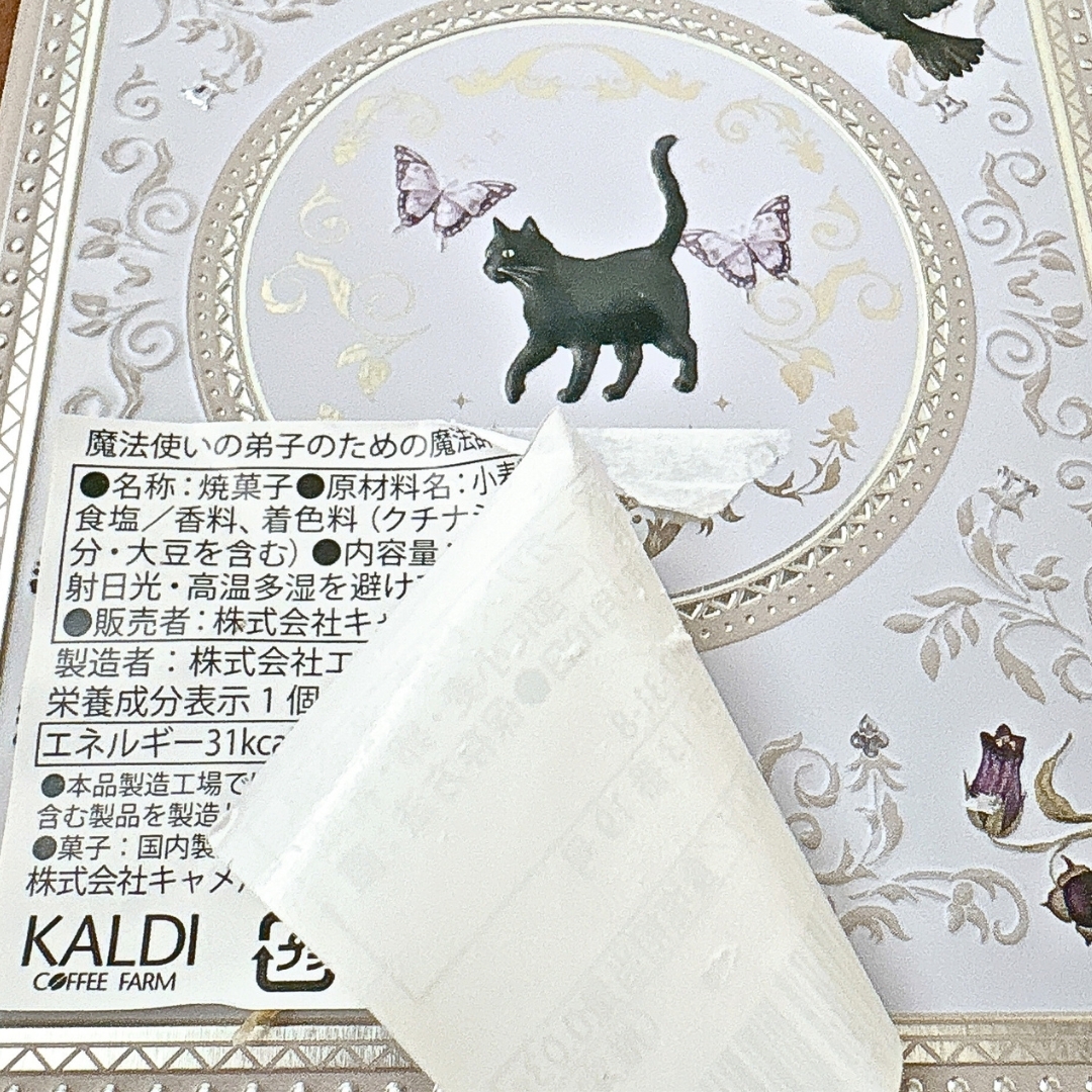 KALDI (カルディ)の「魔法使いの弟子のための魔法辞典」
