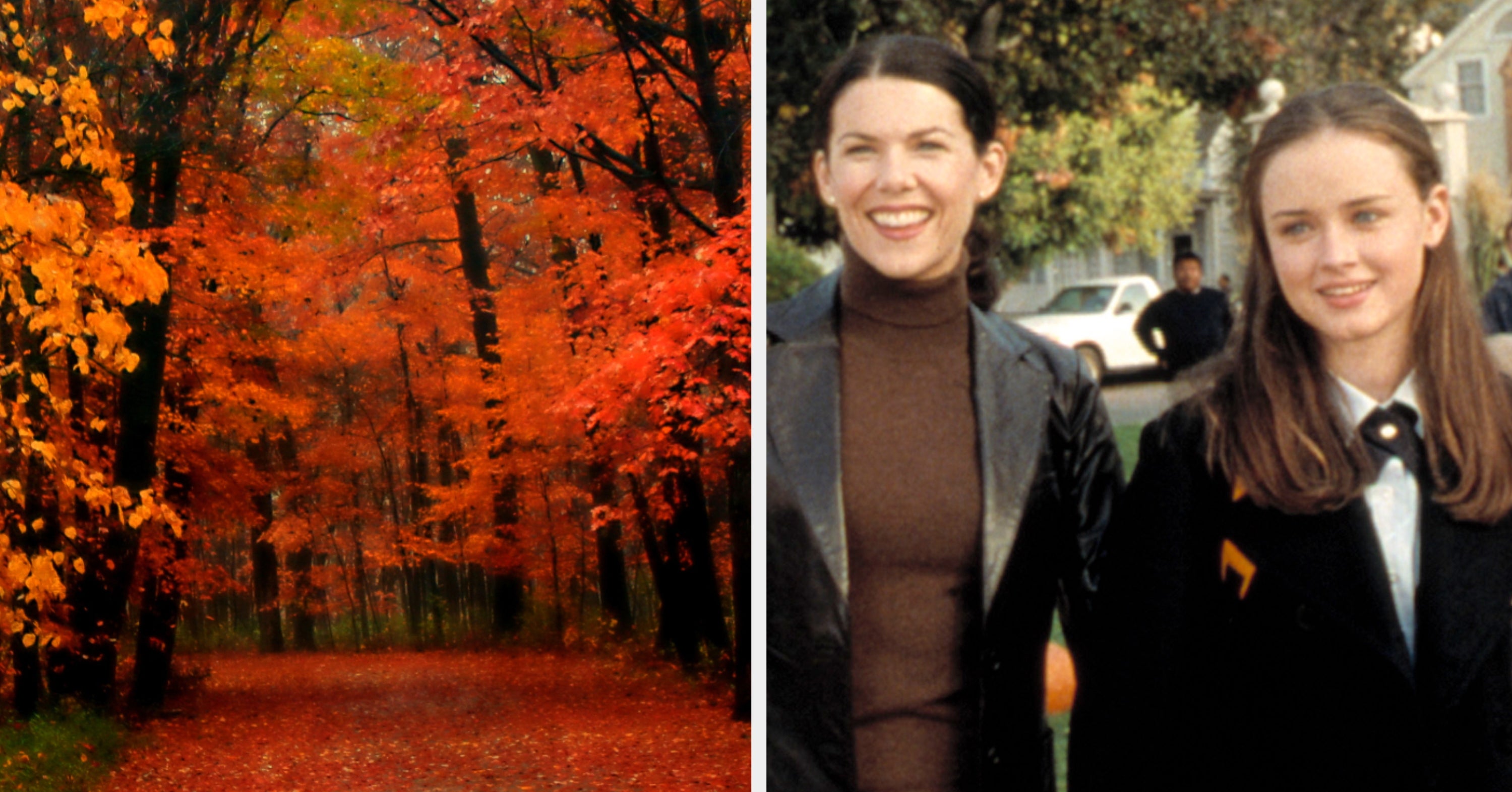 Autumn Aesthetic Personality Quiz