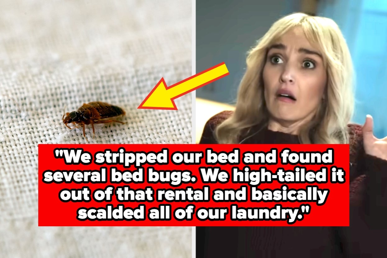 Close-up of a bed bug with a surprised person in the background. Text discusses discovering bed bugs in a rental and scalding laundry