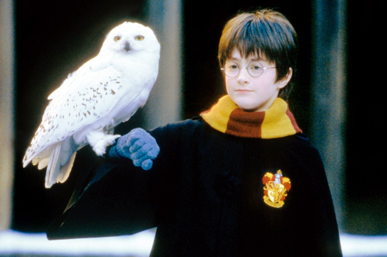 People Are Divided Over Who's The Best "Harry Potter" Character Of All Time