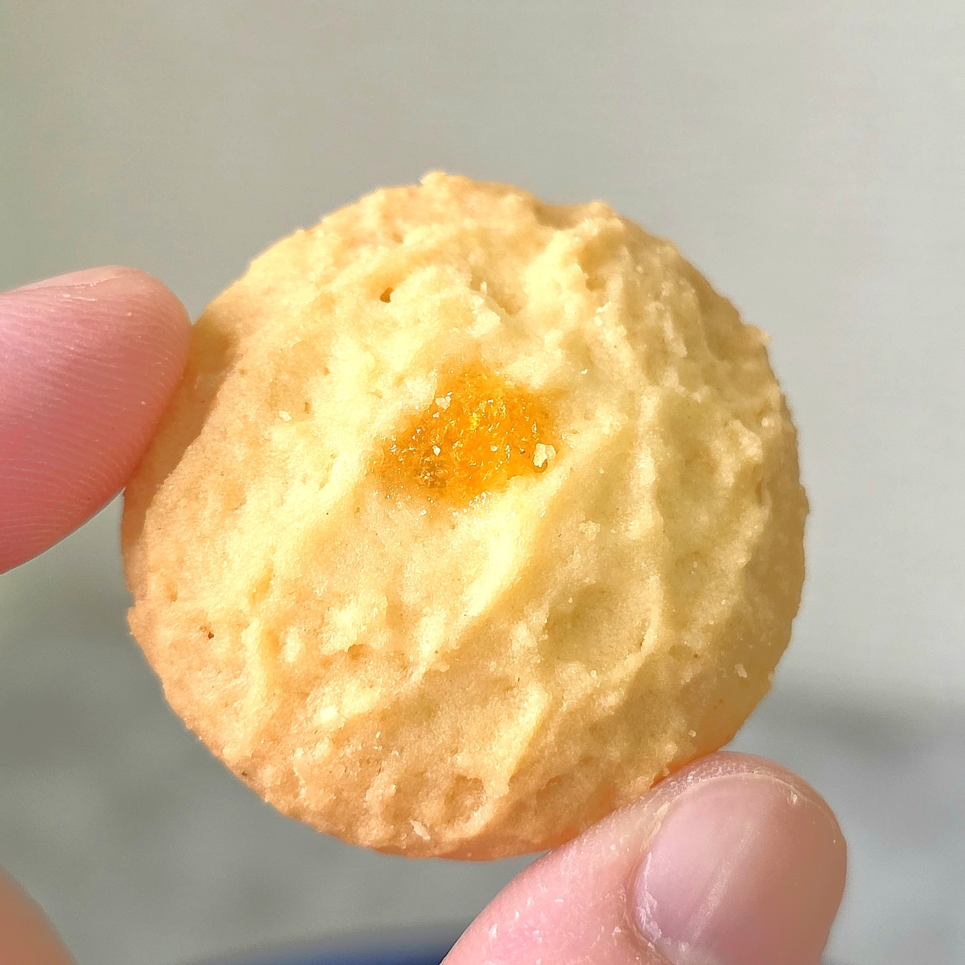 Afternoon Tea(アフタヌーンティー)「タロットカードブック型クッキー缶」