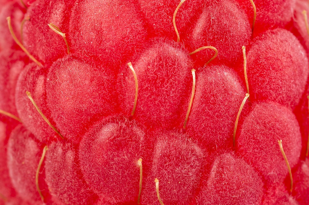 Close-up view of a raspberry, showing detailed texture and tiny hairs on its surface